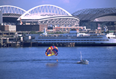 Seattle Stadia